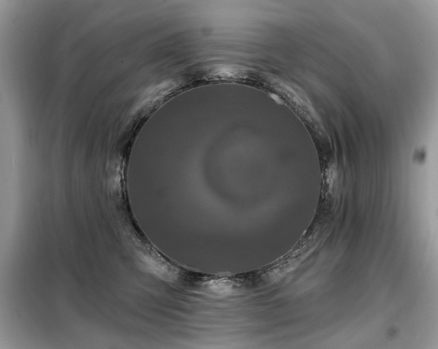 X0000099450423200805091510