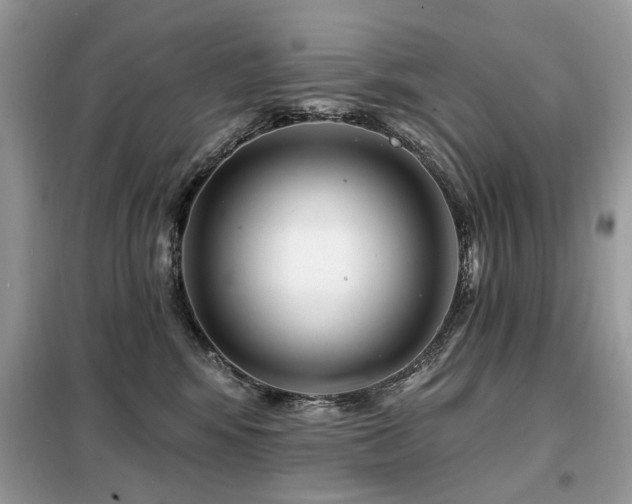 X0000099450424200805091510