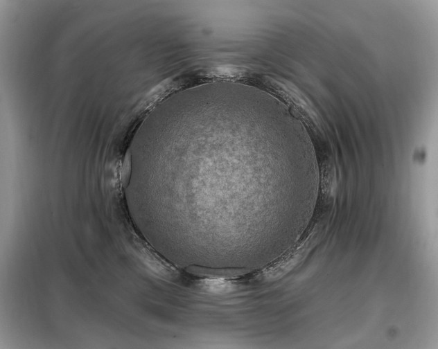 X0000099450425200805091510