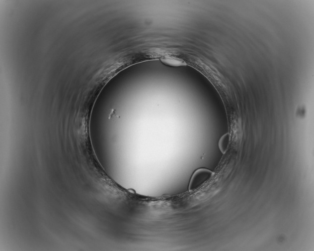 X0000099450426200805091510