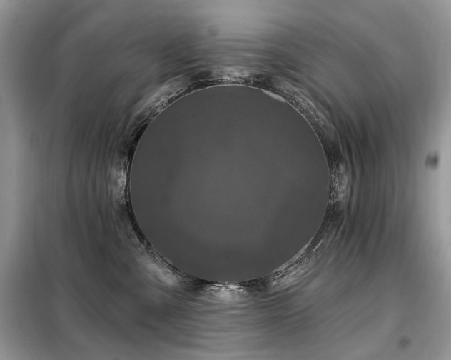 X0000099450427200805091510