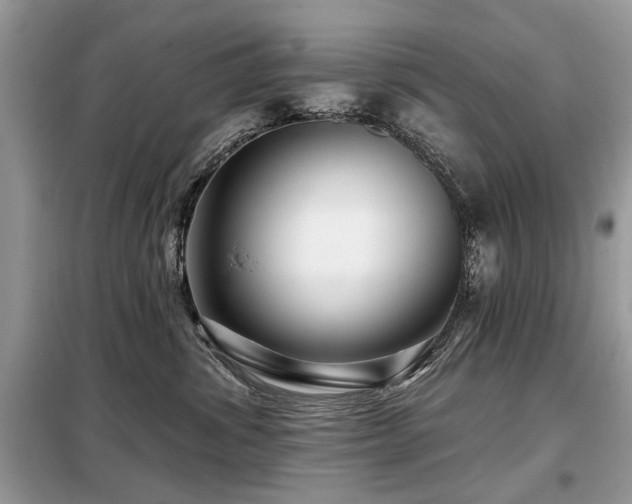 X0000099450428200805091510