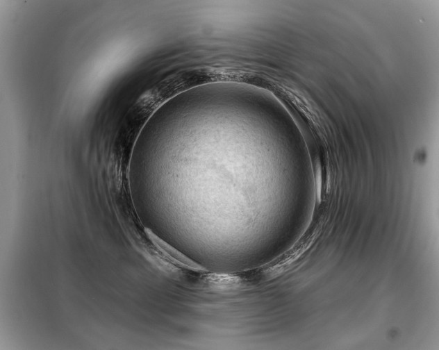 X0000099450429200805091509