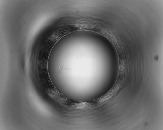 X0000099450430200805091509