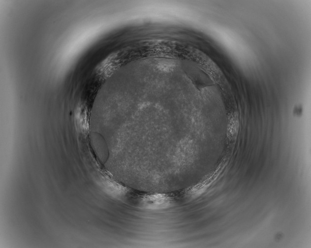 X0000099450431200805091509