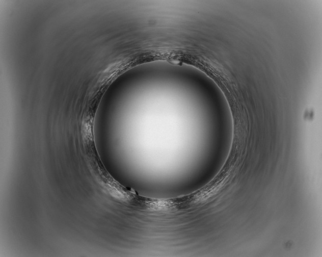 X0000099450432200805091509