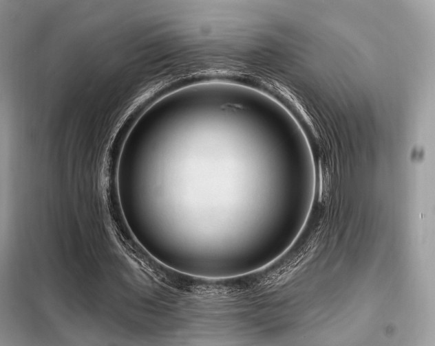 X0000099450435200805091509
