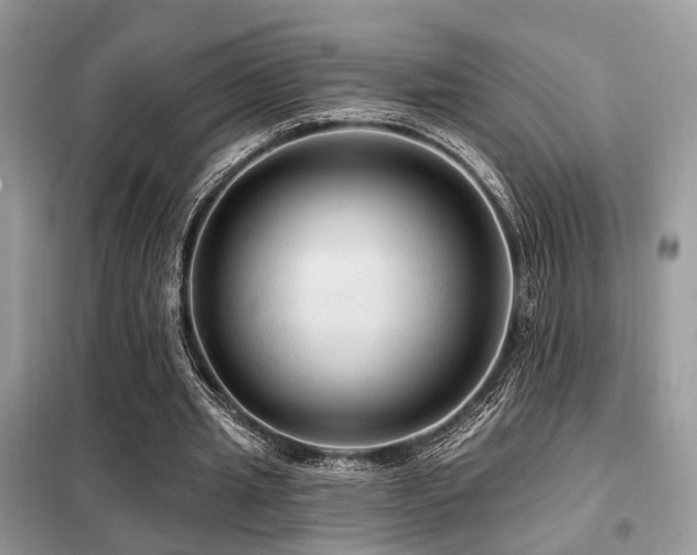 X0000099450437200805091509
