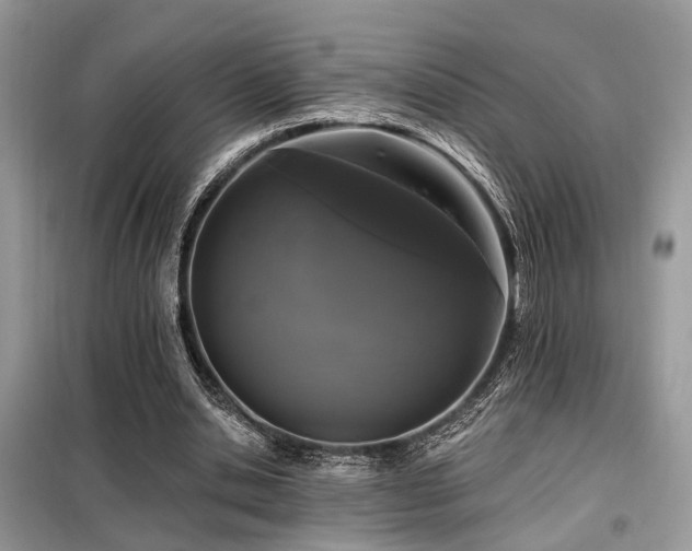 X0000099450438200805091509