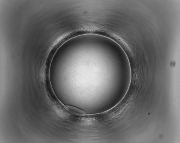 X0000099450440200805091509