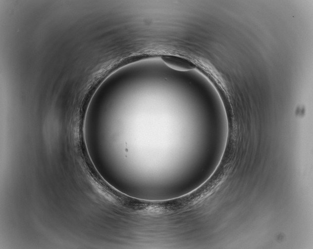 X0000099450441200805091509