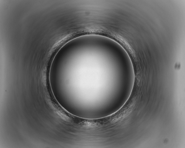 X0000099450442200805091509