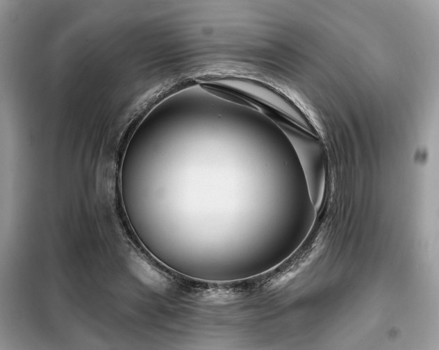 X0000099450445200805091509