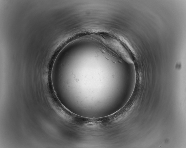 X0000099450447200805091509