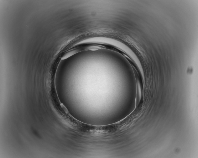 X0000099450448200805091509