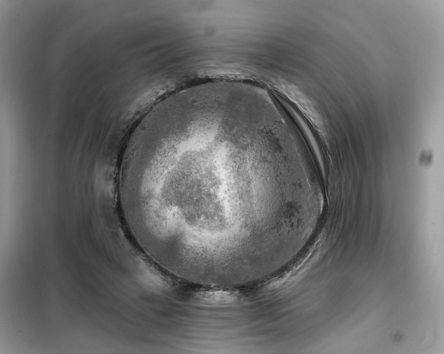 X0000099450449200805091509