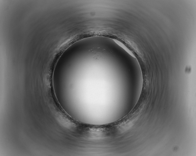 X0000099450450200805091509