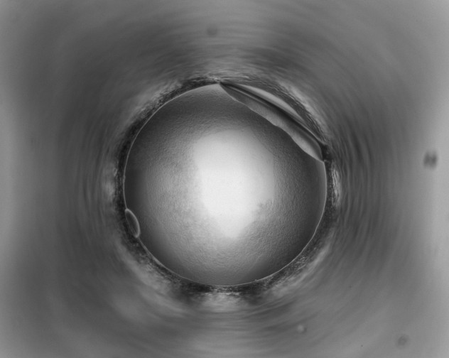 X0000099450451200805091509