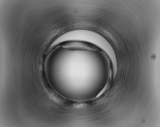 X0000099450452200805091509