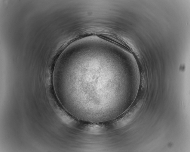 X0000099450453200805091509