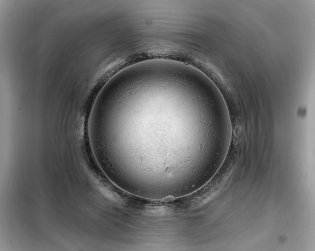 X0000099450454200805091509