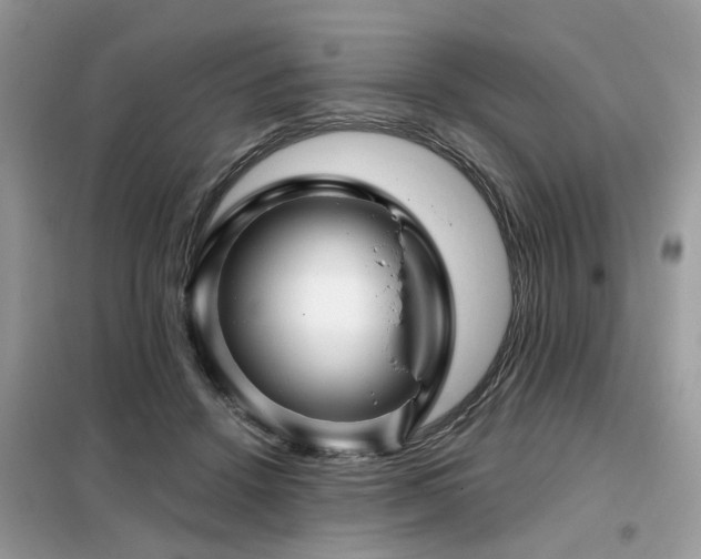 X0000099450456200805091509