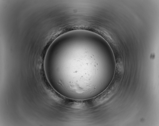 X0000099450458200805091509