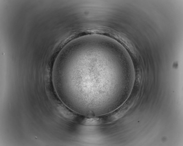 X0000099450461200805091509