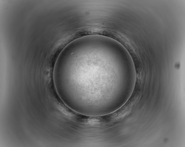 X0000099450462200805091509