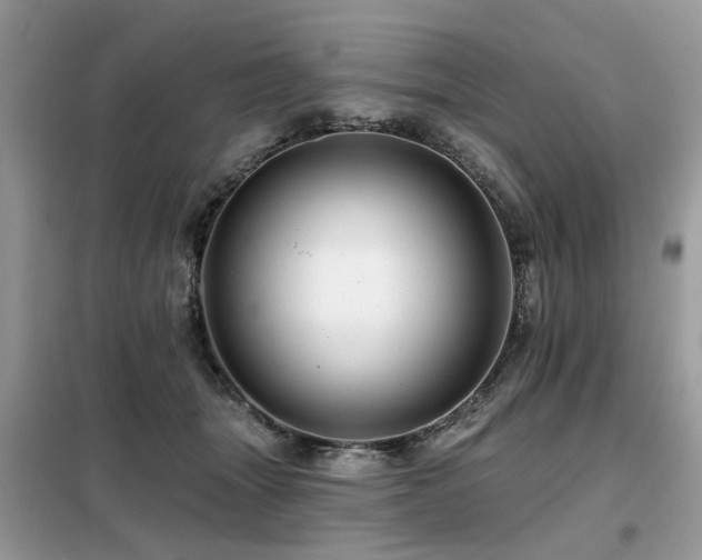 X0000099450463200805091509