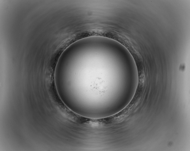 X0000099450464200805091509