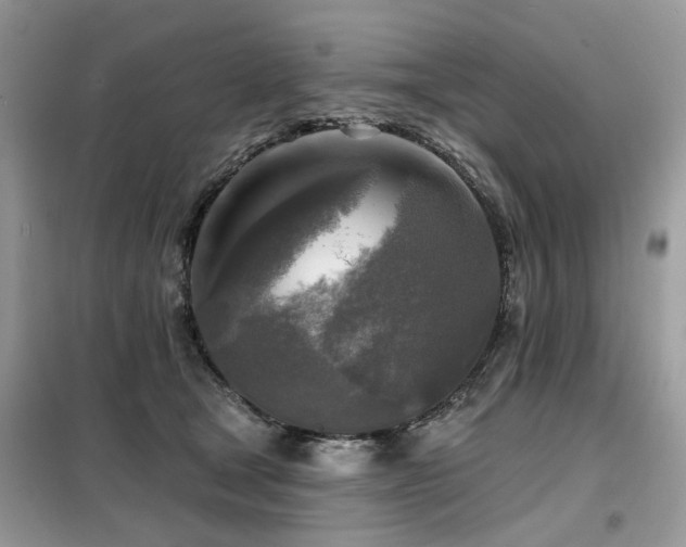 X0000099450465200805091509