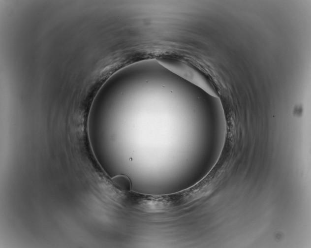 X0000099450466200805091509