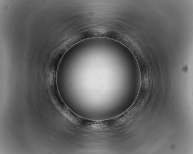 X0000099450468200805091509