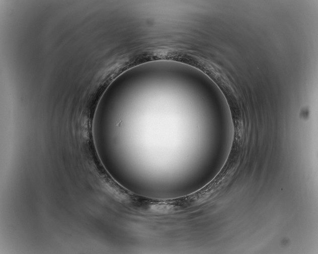 X0000099450470200805091509