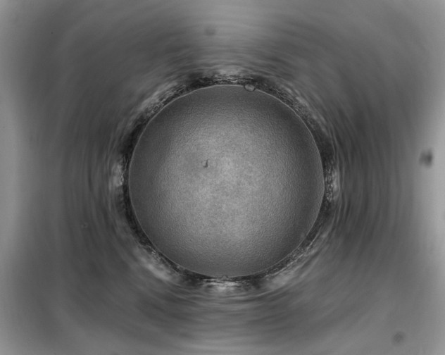 X0000099450472200805091509