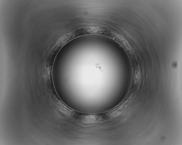X0000099450473200805091509