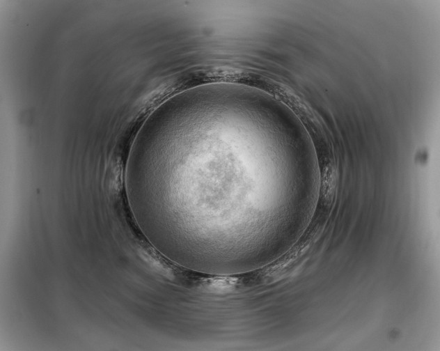 X0000099450474200805091509
