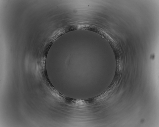 X0000099450475200805091509