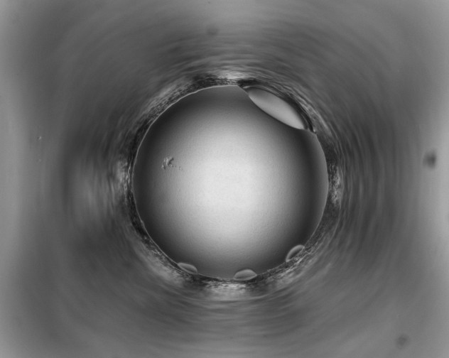 X0000099450476200805091509