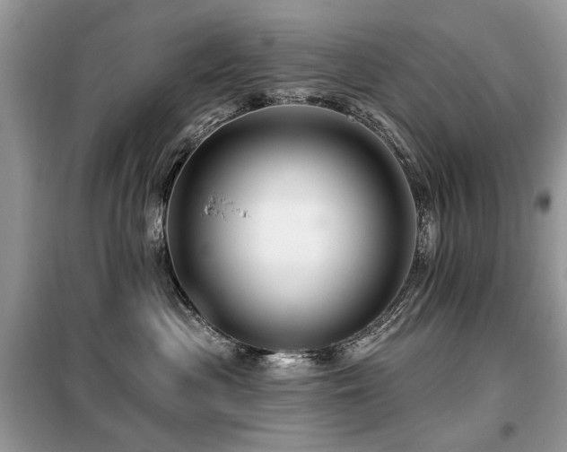 X0000099450477200805091509