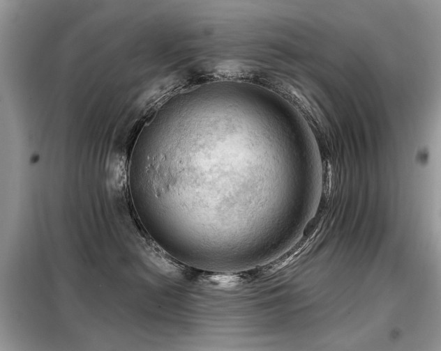 X0000099450478200805091509