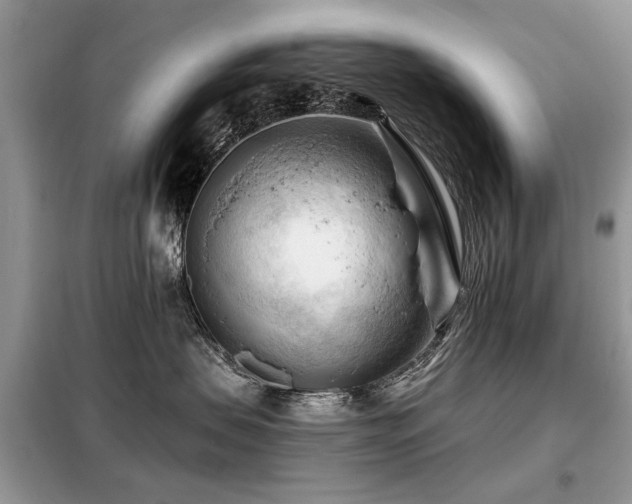 X0000099450479200805091509