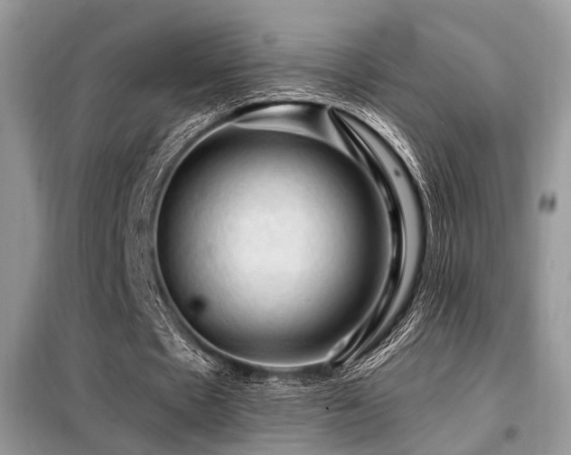 X0000099450481200805091509