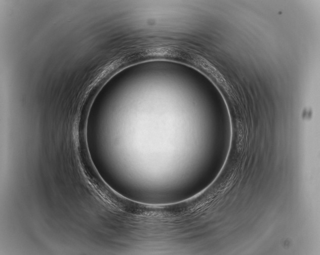 X0000099450482200805091509