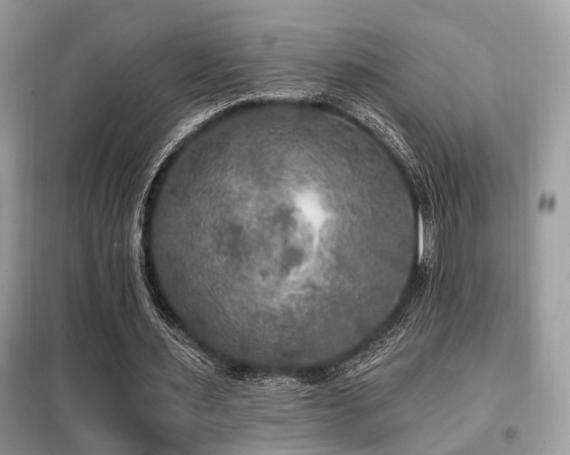 X0000099450483200805091509