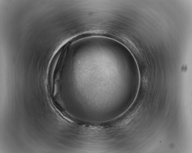 X0000099450484200805091509