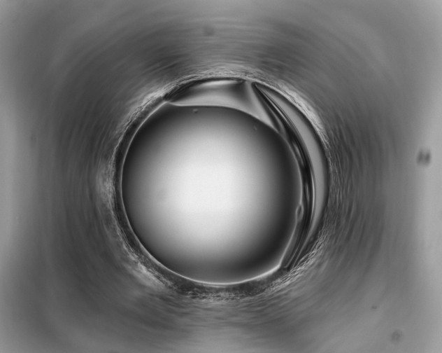 X0000099450485200805091509