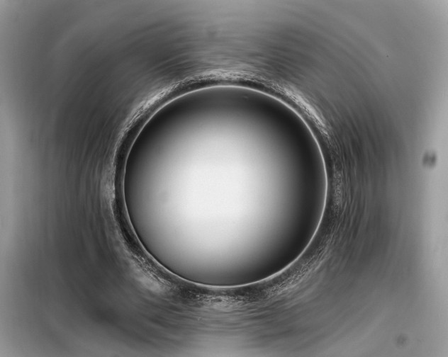 X0000099450486200805091509