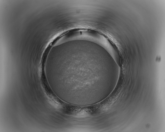 X0000099450488200805091509